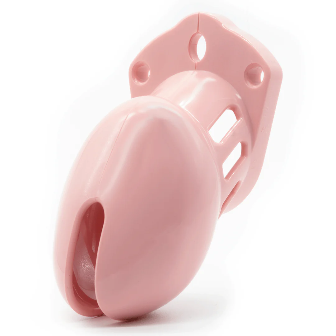 CB-6000S Chastity Cock Cage - Image 4