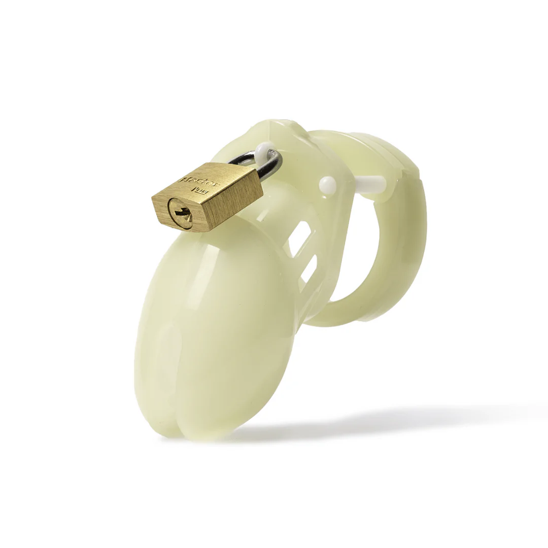 CB-6000S Chastity Cage Kit - Image 25