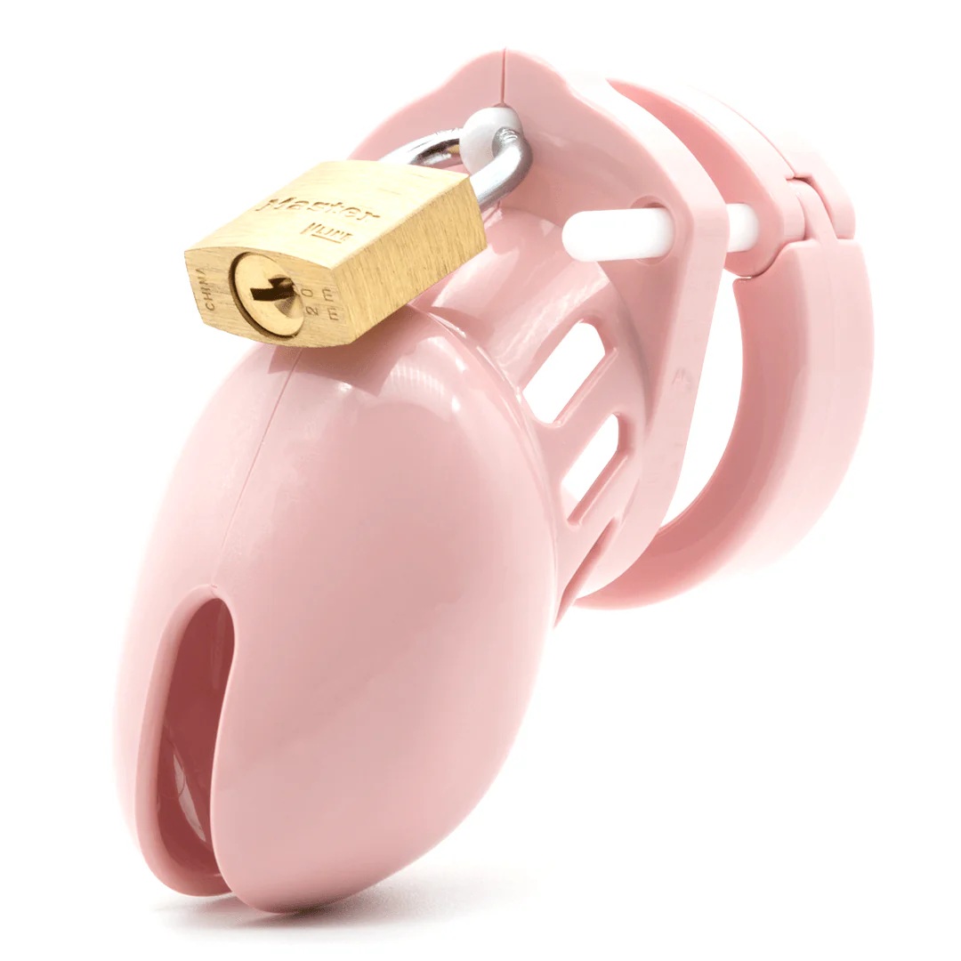 CB-6000S Chastity Cage Kit - Image 5