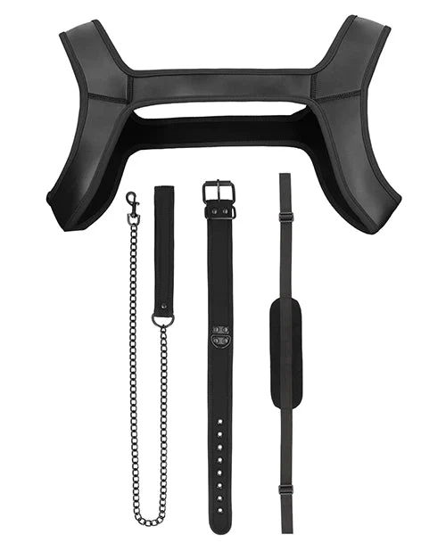 8-Piece Neoprene Kinky Puppy Play Kit - Two Sizes - Image 3