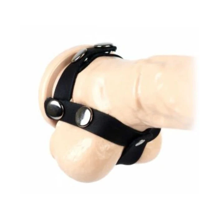 Spartacus T-Style Adjustable Black Leather Cock and Ball Splitter - Image 2