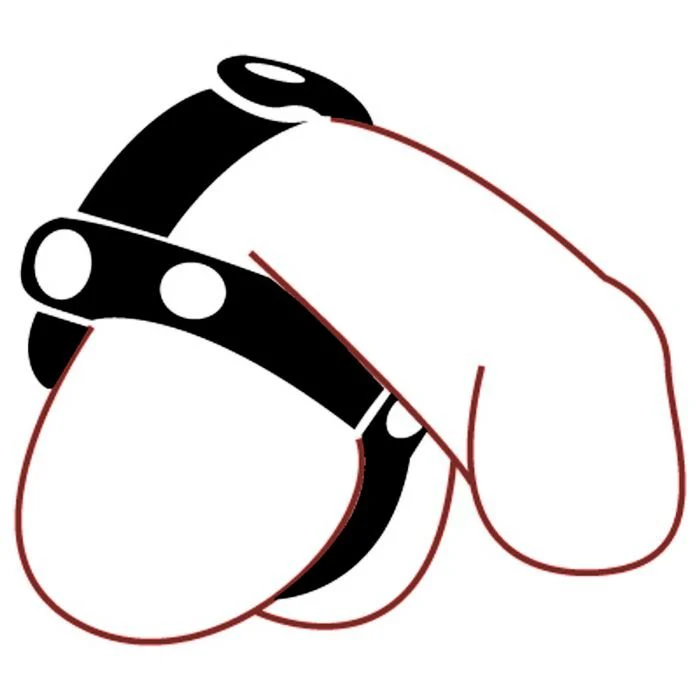 Spartacus T-Style Adjustable Black Leather Cock and Ball Splitter - Image 3